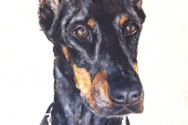 asia on canvas