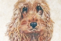 cookie on canvas