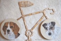 dog bike