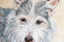 maurizio